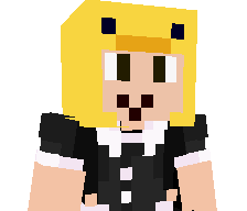 NOSMARTGAMER's skin