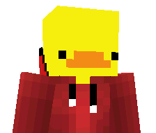 Pjoter573x's skin