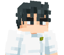 MrPollitoYT's skin