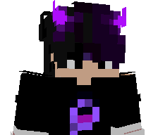 RetroBowl165745's skin