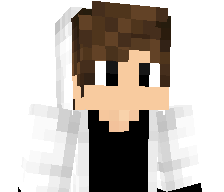 Gamingdu17's skin