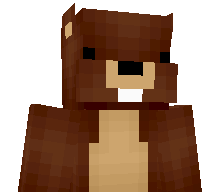 NotSirSquirrel's skin