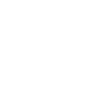 vlqv's skin