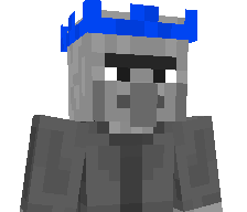 ownerlol's skin