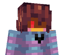 deNINJA9741's skin