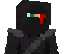 NeatNinja9999's skin