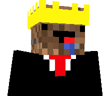derpdirtking's skin