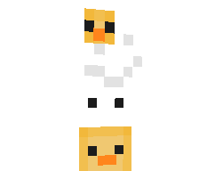 NNYL's skin