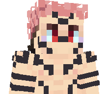 det2pol's skin
