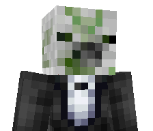 Minicraft7338's skin
