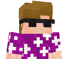 Laptopleon's skin