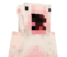 beargamer70YT's skin