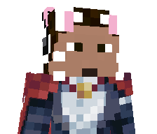 xFara333's skin