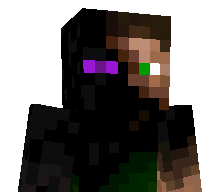 2013GG's skin