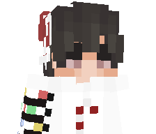 NiicoS14's skin