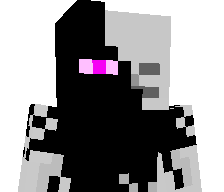 NikoLP2011's skin