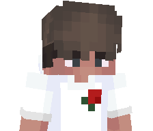 nitLix's skin
