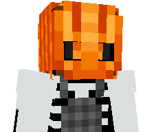 TotoroCatbuss's skin