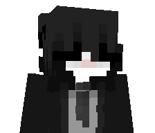 TheKungFuMaster's skin