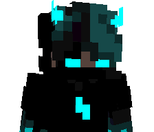 SURVIVER10000's skin