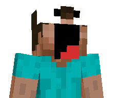WakuWaku_0528's skin