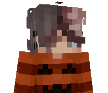 407t's skin