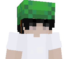 vTurtles's skin
