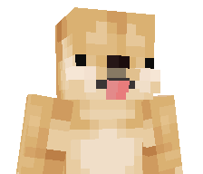 qfd_doge's skin