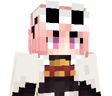 bbarto1f's skin