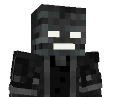 Baolong23v's skin