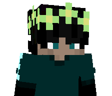 iRushSplash's skin