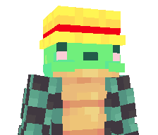 TurtleMc__'s skin