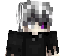 PR0MISE's skin