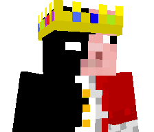 Avner's skin