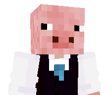 jSN223's skin