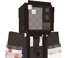 tvic_'s skin
