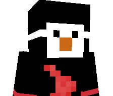 Mc_pengu1n's skin