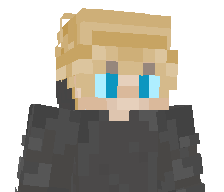 itsR0N1's skin