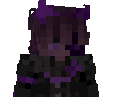 XaXashi's skin