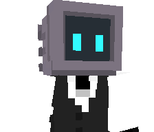 WinEXPERT's skin