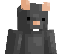 Rat4005's skin