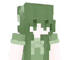brajanmierniak's skin