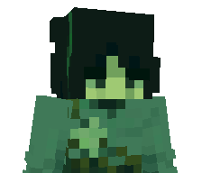 TheSteelPath's skin