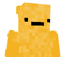 Wikzouu's skin