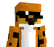 HoodCheetah's skin
