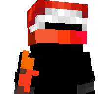 OwnerNerfStinger's skin
