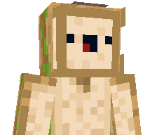 _Napk1n_'s skin