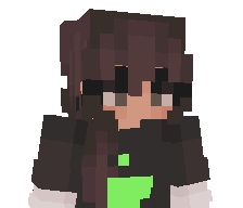 BulleT2991's skin