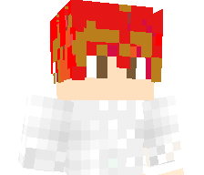 LUDDY_GAMER's skin