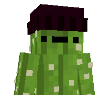 zn4k's skin